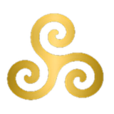 Momentum Media
